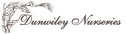 Dunwiley Nurseries Ltd.